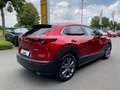 Mazda CX-30 Selection AWD 2.0 SKYACTIV-X-M Hybrid 360 Kamera A Roşu - thumbnail 11