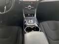 Ford S-Max 2.0 EcoBlue Titanium LED ACC Navi R.Cam Grau - thumbnail 14