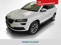 Skoda Karoq 2.0 TDI Ambition Drive 4x4 DSG LED / ACC / CANTON Weiß - thumbnail 1