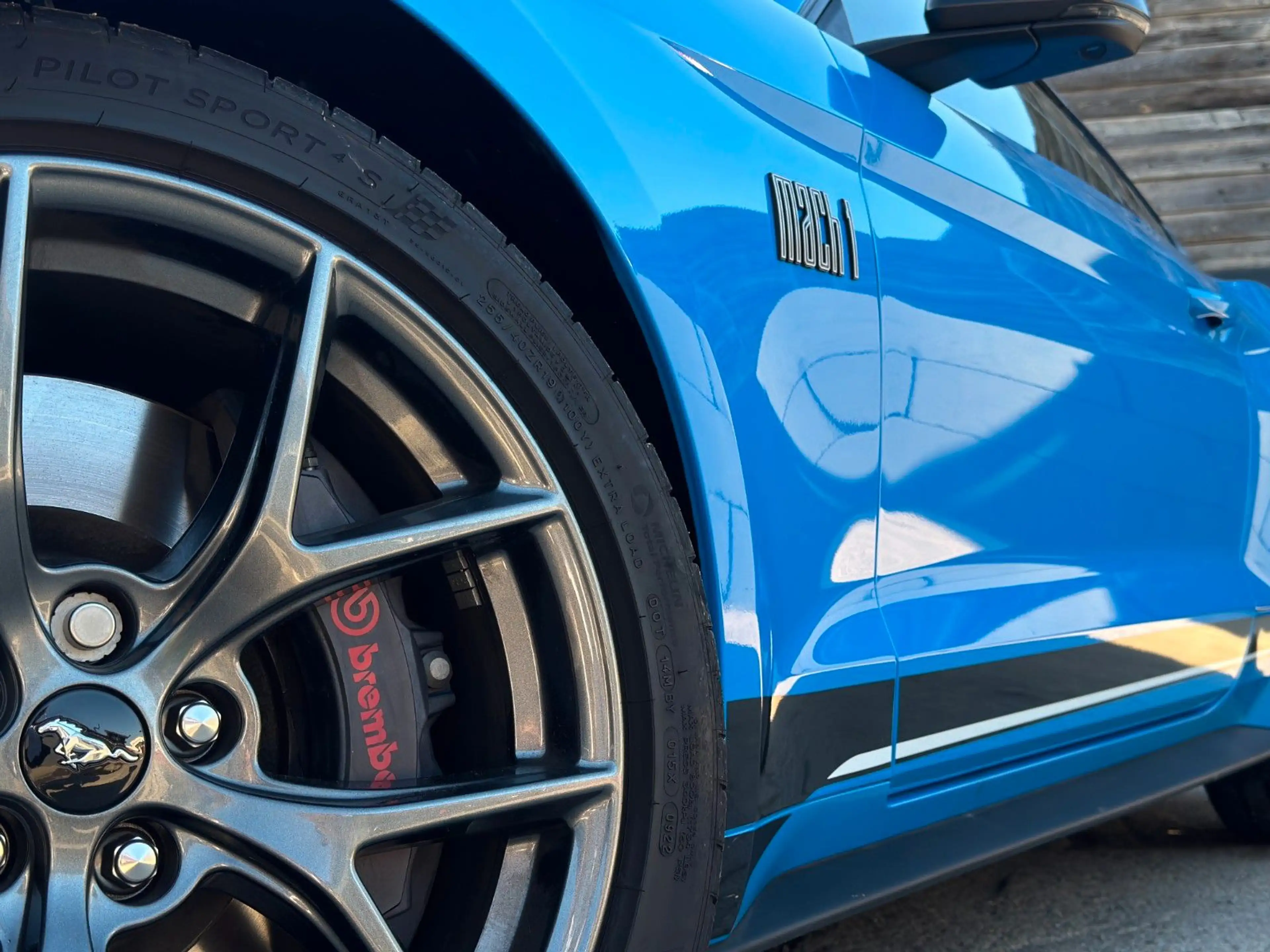 Ford Mustang Mach 1 5.0L V8 Fastback Schalter Perfor. — photo 5