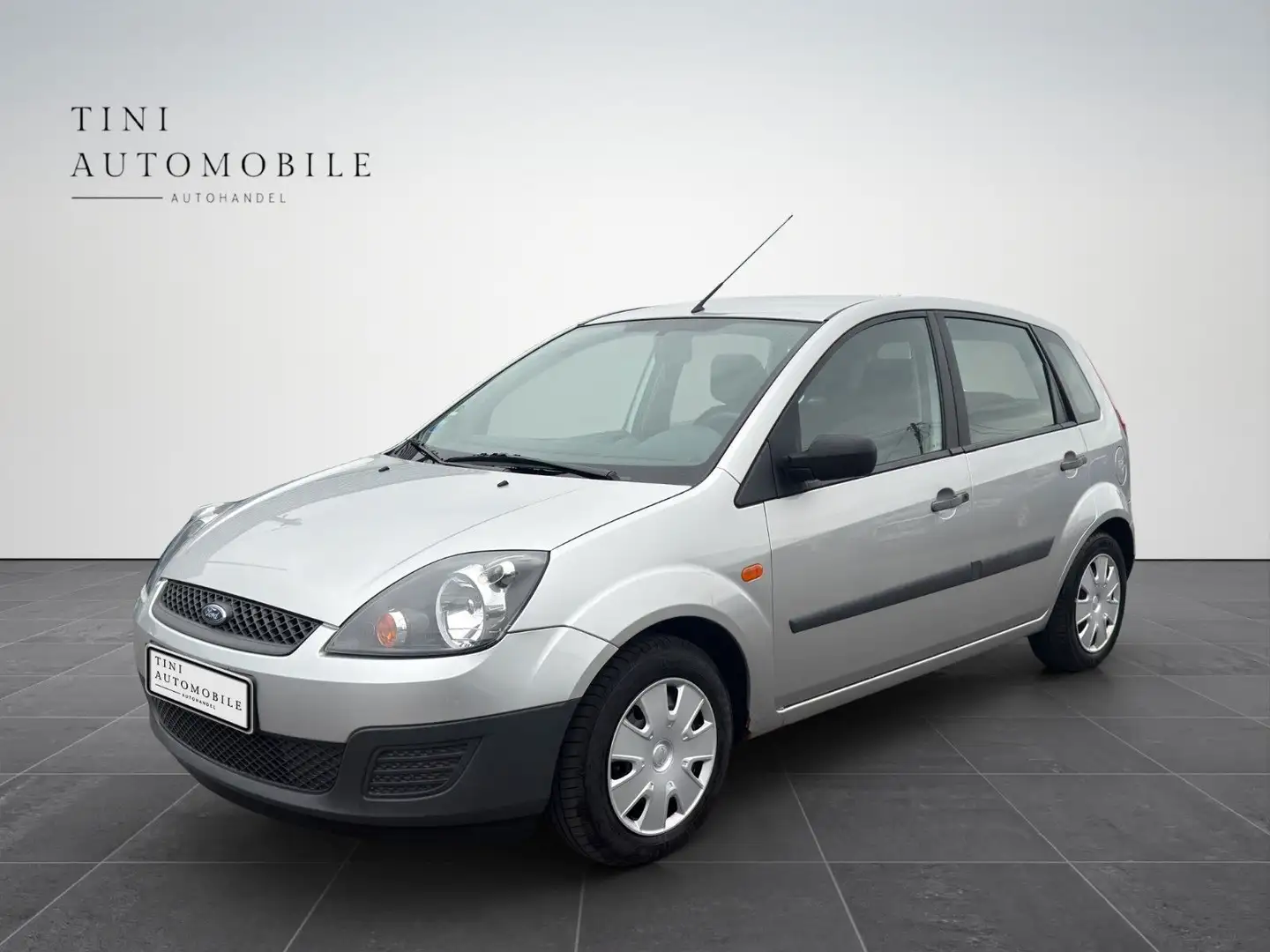 Ford Fiesta Ambiente Grau - 1