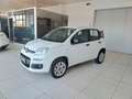 Fiat Panda Panda 0.9 TwinAir Turbo Natural Power Easy Bianco - thumbnail 3