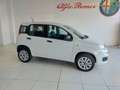 Fiat Panda Panda 0.9 TwinAir Turbo Natural Power Easy Bianco - thumbnail 4