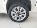 Fiat Panda Panda 0.9 TwinAir Turbo Natural Power Easy Bianco - thumbnail 7