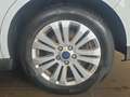 Ford C-Max 1.6 EcoBoost Grand Titanium ParkAss. LM Weiß - thumbnail 15