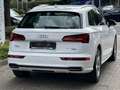 Audi Q5 50 TFSI e quattro S tronic basis | Standklima Fehér - thumbnail 23