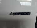 Volkswagen Caddy 2.0TDI Origin 4Motion 90KW Blanco - thumbnail 5