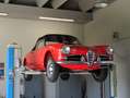 Alfa Romeo Giulietta Spider 1.3 Restauro totale - Condizioni TOP! Rosso - thumbnail 5