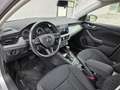 Skoda Scala 1.6 tdi Style 115cv dsg - thumbnail 7