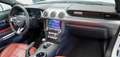 Ford Mustang 5.0 GT Convertible *1.H *B&O *ACC*Kamera Weiß - thumbnail 8