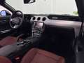 Ford Mustang Convertible 5.0 Ti-VCT GT Aut. Negro - thumbnail 17