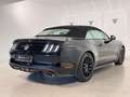 Ford Mustang Convertible 5.0 Ti-VCT GT Aut. Negro - thumbnail 13