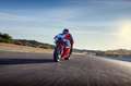 Honda Fireblade 1Stk lagernd Rot - thumbnail 18