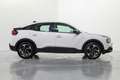 Citroen C4 1.2 PureTech Plus S&S 130 Blanco - thumbnail 7