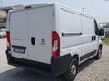 Fiat Ducato 2.3 mtj 120cv L1H1 PASSO CORTO Bianco - thumbnail 7