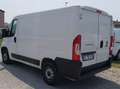 Fiat Ducato 2.3 mtj 120cv L1H1 PASSO CORTO Bianco - thumbnail 5