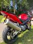Honda CBR 900 Fireblade 954 2002 Rood - thumbnail 7