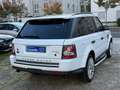 Land Rover Range Rover Sport 3.0 Sports V6 TD HSE 4x4 Automatik - thumbnail 5