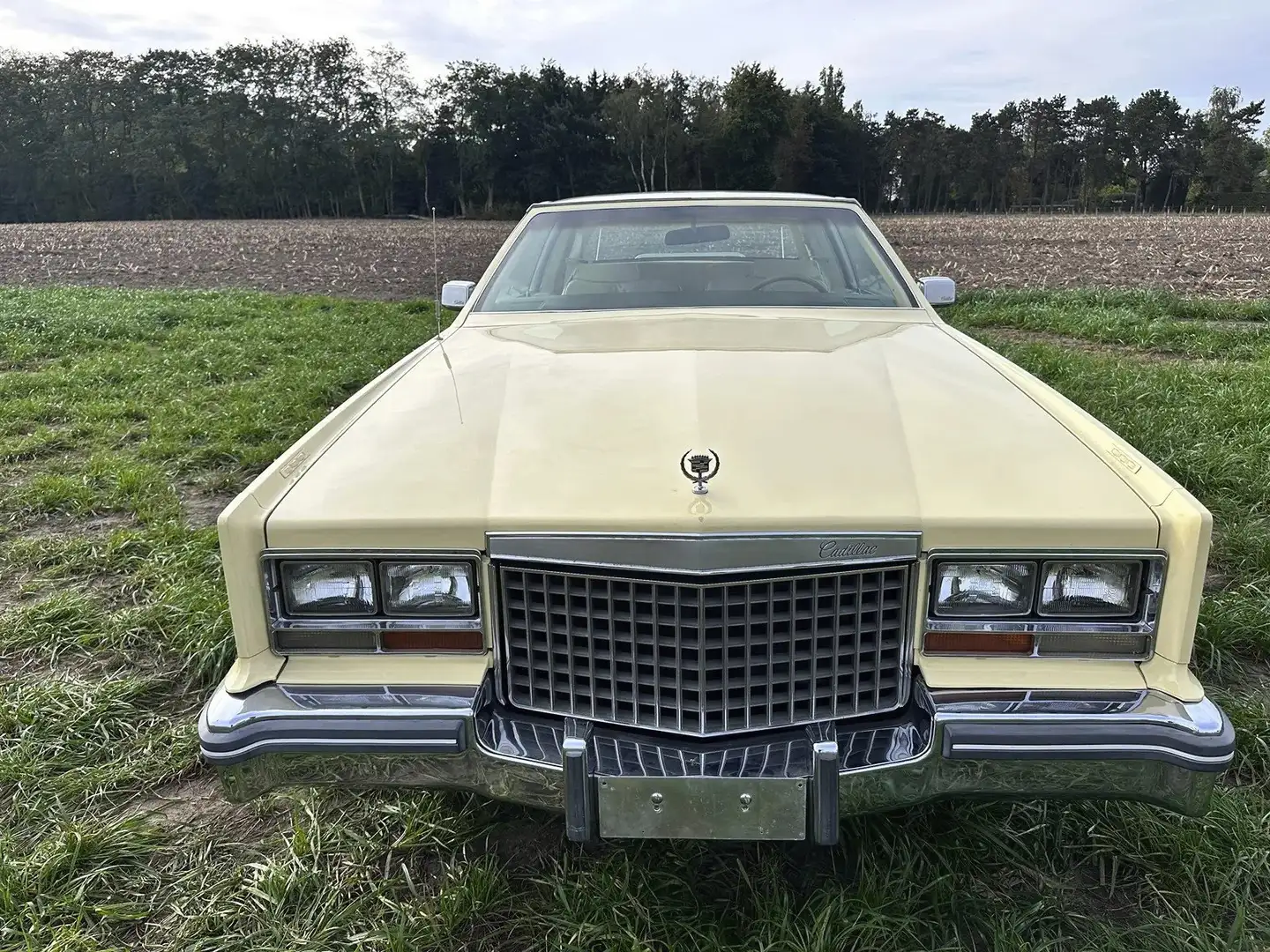 Cadillac Eldorado Eldorado Berritz Beige - 2