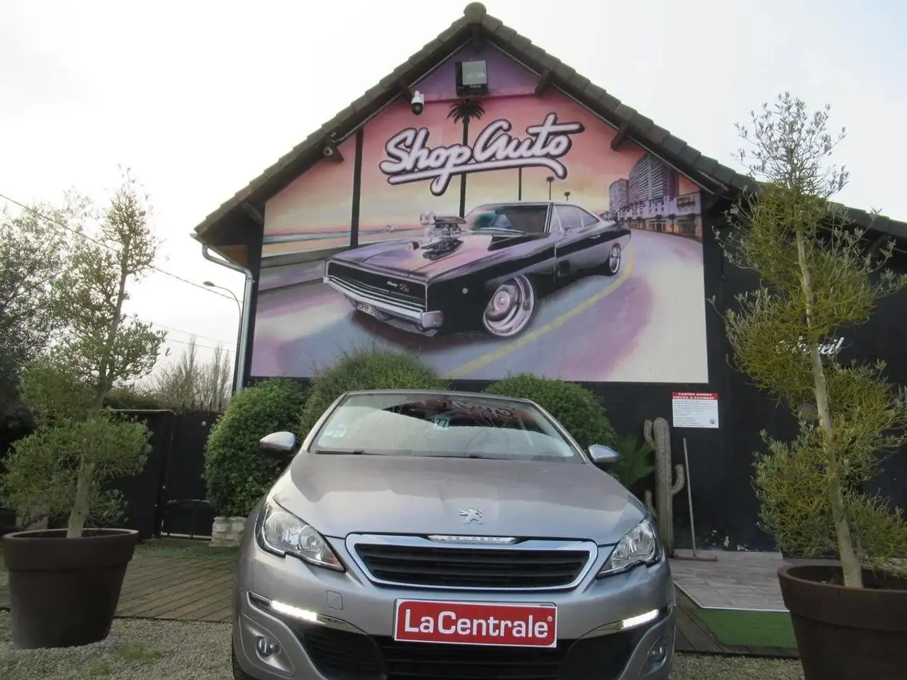 Peugeot 308