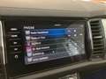 Skoda Kodiaq Ambition TDI DSG Gris - thumbnail 19