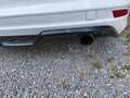 Ford Focus Titanium Weiß - thumbnail 7