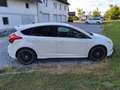 Ford Focus Titanium Weiß - thumbnail 5