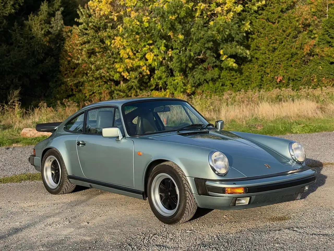 Porsche 911 Crystal Green Metallic (33N) | Original Grey Green, foto 2