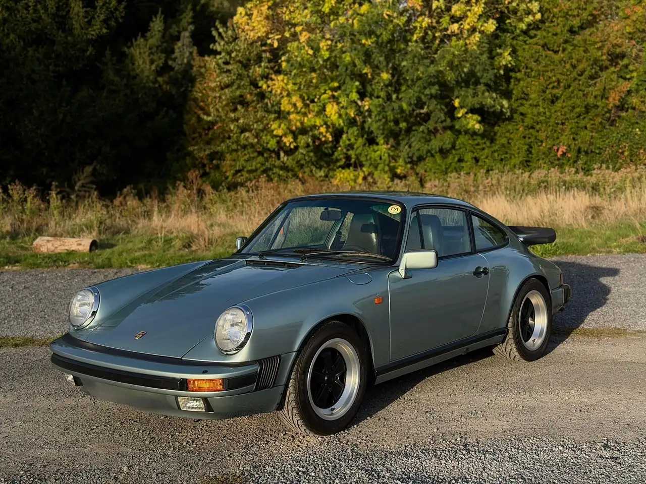 Porsche 911 Crystal Green Metallic (33N) | Original Grey Green, foto 1
