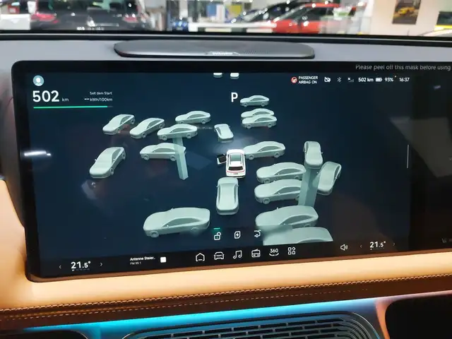 Xpeng G9 AWD Performance Ansicht 15