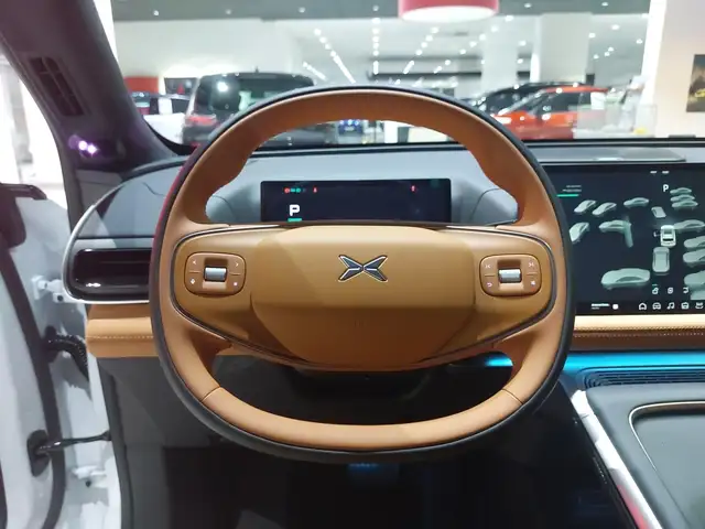 Xpeng G9 AWD Performance Ansicht 12
