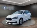 Skoda Fabia 1.0 Active PDC*KLIMA*SHZ Klima Einparkhilfe Weiß - thumbnail 1