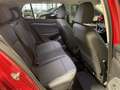 Volkswagen Golf VIII 1.0 eTSI Life MOVE DSG+SHZ+USB+DAB+EPH Klima Rot - thumbnail 6