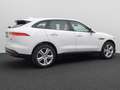Jaguar F-Pace Pure AWD Xenon Memory Kamera Tempomat 20 Weiß - thumbnail 6