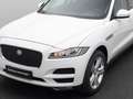 Jaguar F-Pace Pure AWD Xenon Memory Kamera Tempomat 20 Weiß - thumbnail 18