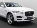 Jaguar F-Pace Pure AWD Xenon Memory Kamera Tempomat 20 Weiß - thumbnail 17