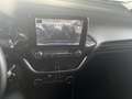 Ford Fiesta Fiesta 1.0 Ecoboost Hybrid 125 CV 5 porte Titanium Blu/Azzurro - thumbnail 10