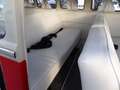 Volkswagen T2 KOMBI BUS 9 POSTI Grigio - thumbnail 15