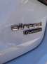 Audi A4 allroad A4 Allroad 40 TDI quattro S-Tronic 150kW Blanco - thumbnail 16