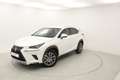Lexus NX 300h EXECUTIVE NAVI. 2.5 HYBRID 197 CV AUTO 5P 4WD Blanc - thumbnail 2