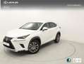 Lexus NX 300h EXECUTIVE NAVI. 2.5 HYBRID 197 CV AUTO 5P 4WD Blanc - thumbnail 1