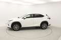 Lexus NX 300h EXECUTIVE NAVI. 2.5 HYBRID 197 CV AUTO 5P 4WD Blanc - thumbnail 6
