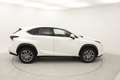 Lexus NX 300h EXECUTIVE NAVI. 2.5 HYBRID 197 CV AUTO 5P 4WD Blanc - thumbnail 5
