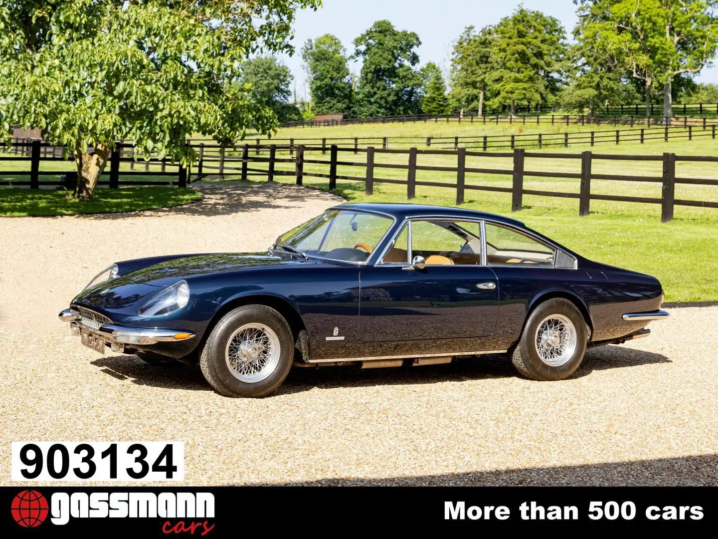 Ferrari 365 GT 2+2 Coupe Blau - 1