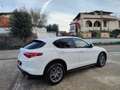 Alfa Romeo Stelvio 2.2 TD 160 CV AT8 TELECAMERA NAVIGATORE DA VETRINA Bianco - thumbnail 5