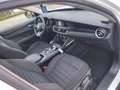 Alfa Romeo Stelvio 2.2 TD 160 CV AT8 TELECAMERA NAVIGATORE DA VETRINA Bianco - thumbnail 11