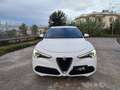 Alfa Romeo Stelvio 2.2 TD 160 CV AT8 TELECAMERA NAVIGATORE DA VETRINA Bianco - thumbnail 1