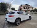 Alfa Romeo Stelvio 2.2 TD 160 CV AT8 TELECAMERA NAVIGATORE DA VETRINA Bianco - thumbnail 6