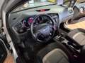 Kia Ceed / cee'd 1.6 crdi Cool 110cv my13 Argento - thumbnail 14