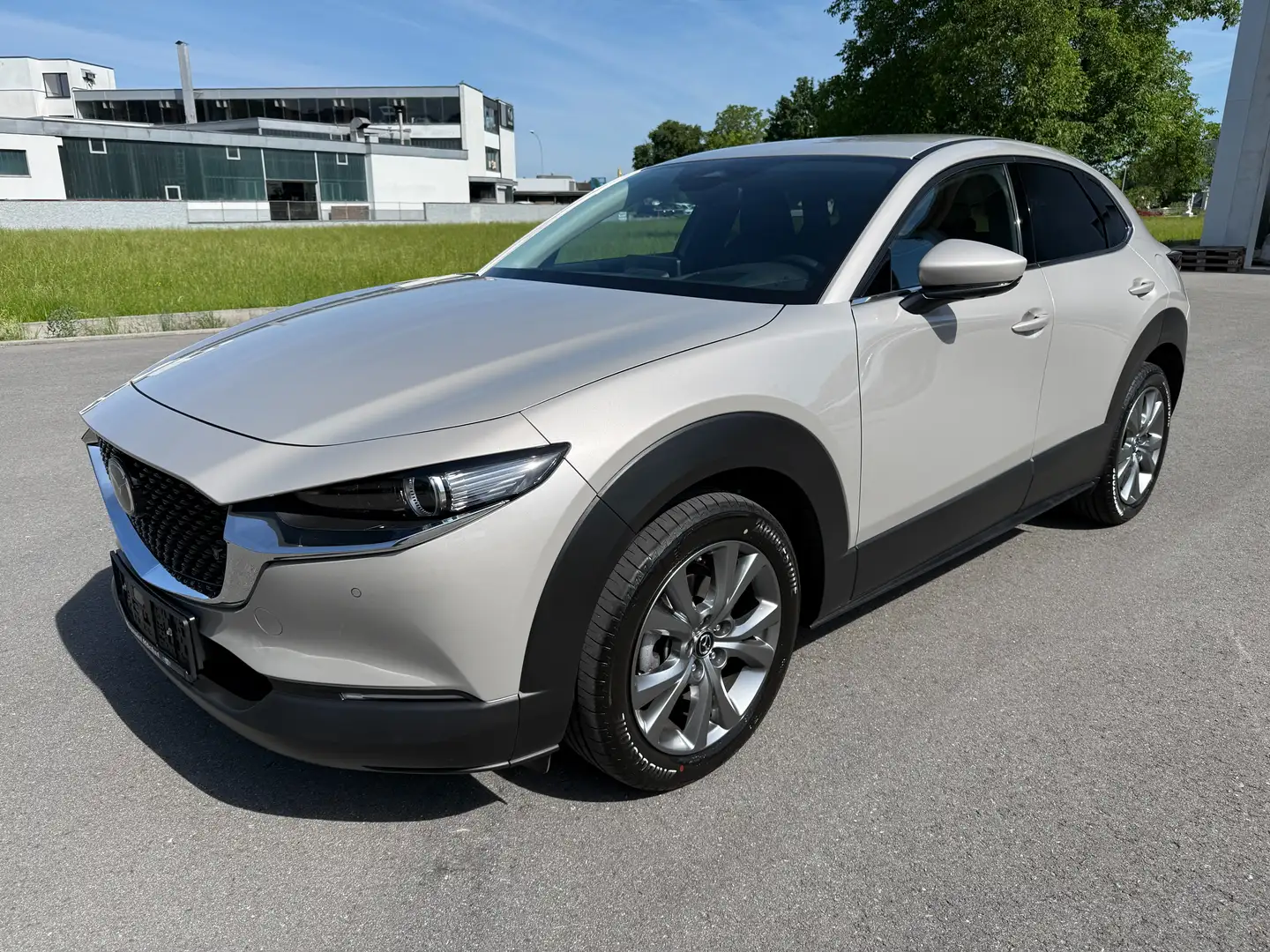 Mazda CX-30 G140 Exclusive-Line Aut. BOSE 360° Kamera Grau - 1